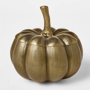Cast Metal Pumpkin Canister - Threshold™ designed with Studio McGee